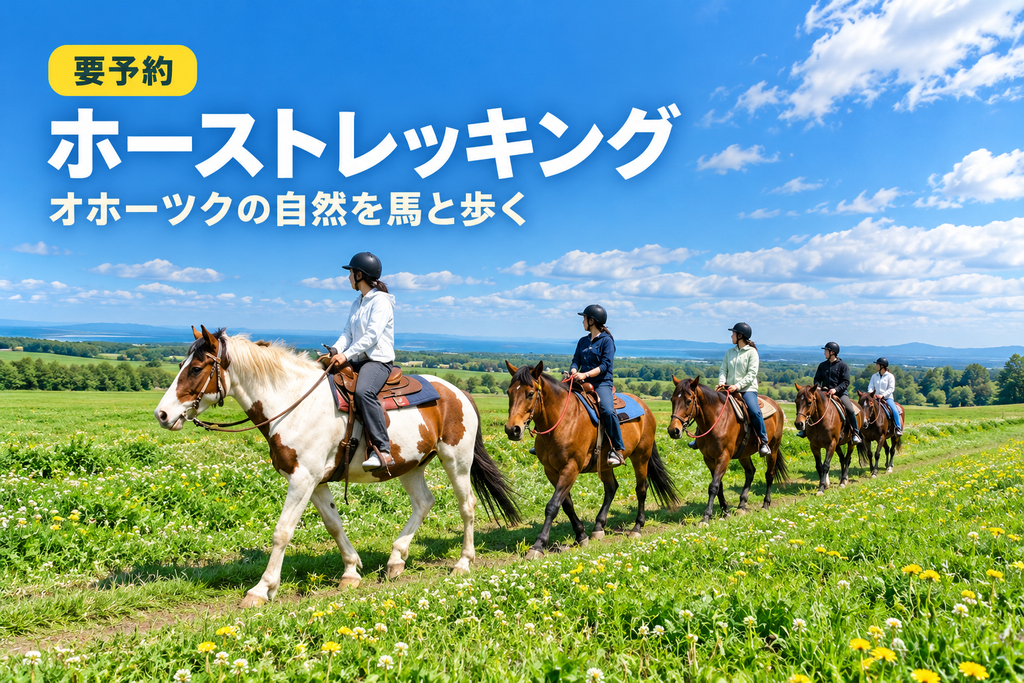 網走の牧草地で楽しむ予約制のホーストレッキング